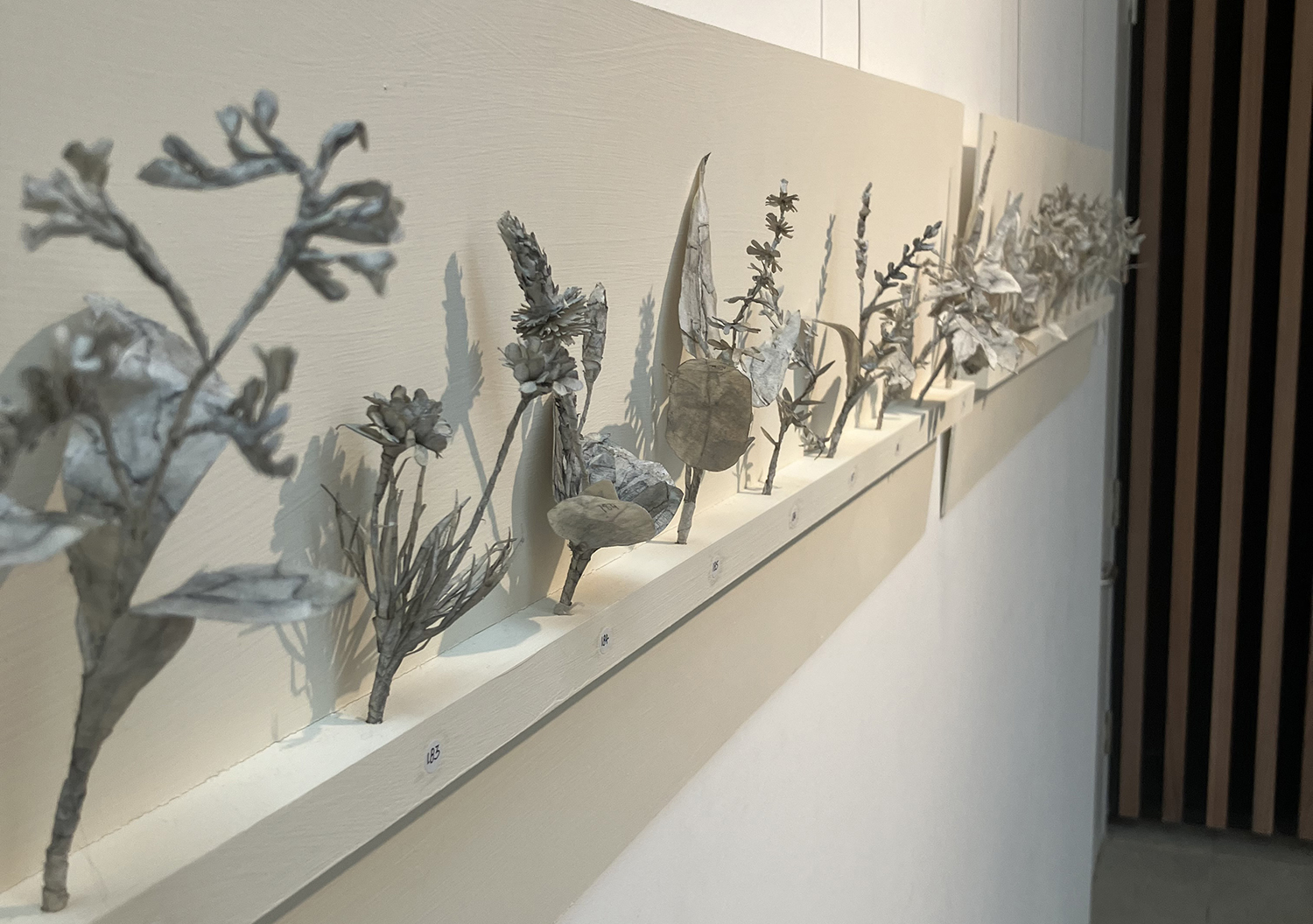 Delicate paper flower sculptures displayed on a white wall