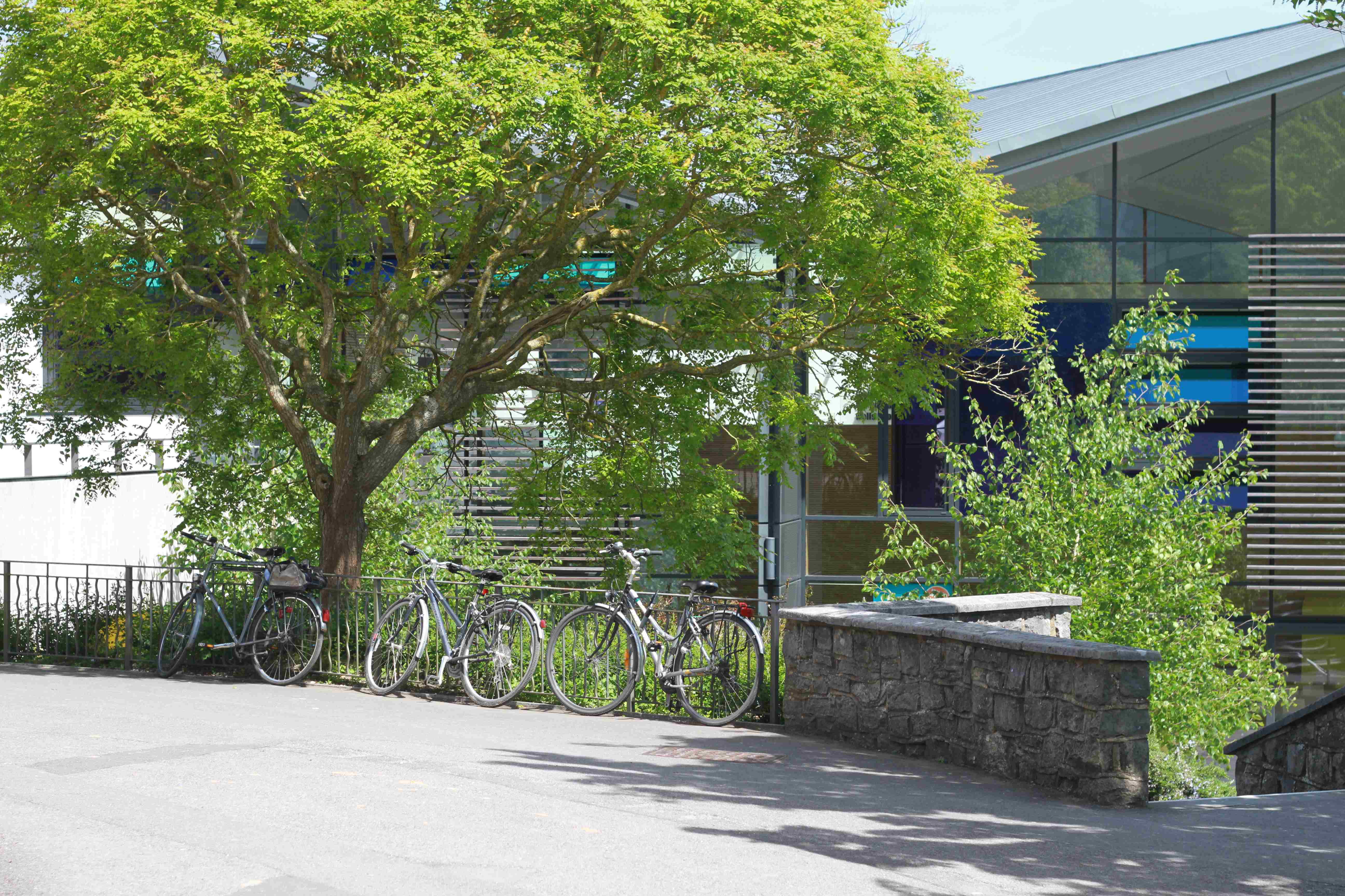 A bike at the campus