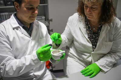 Two academics in white lab coats inspecting a specimen