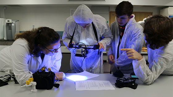 People in forensics lab using ultra violet camera