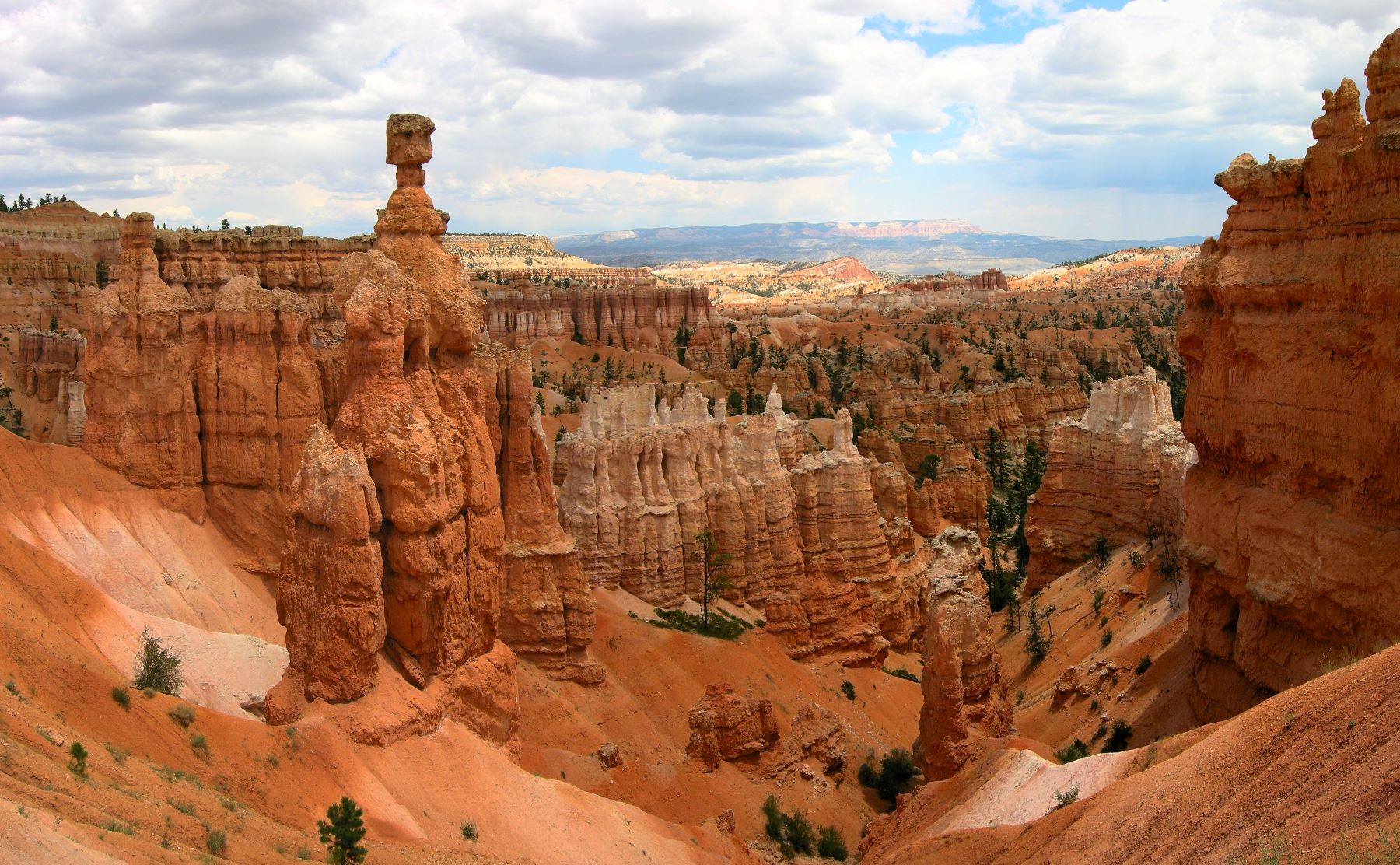 Canyon filled with pinnacles and spires of red stone