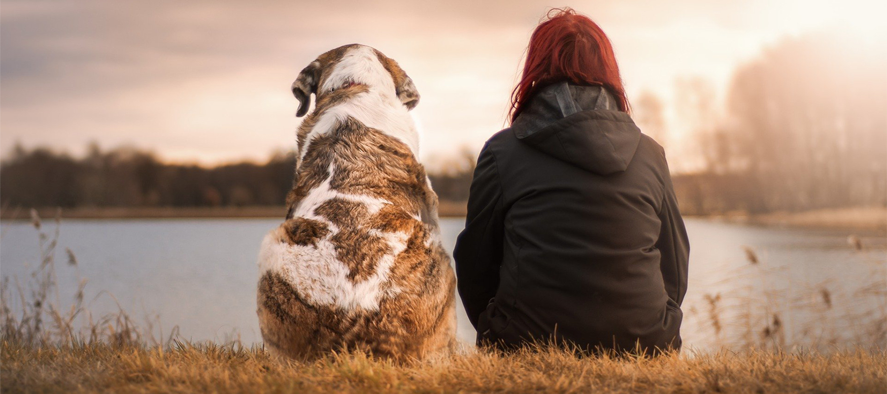 Animal welfare at Winchester: woman and dog sitting side by side