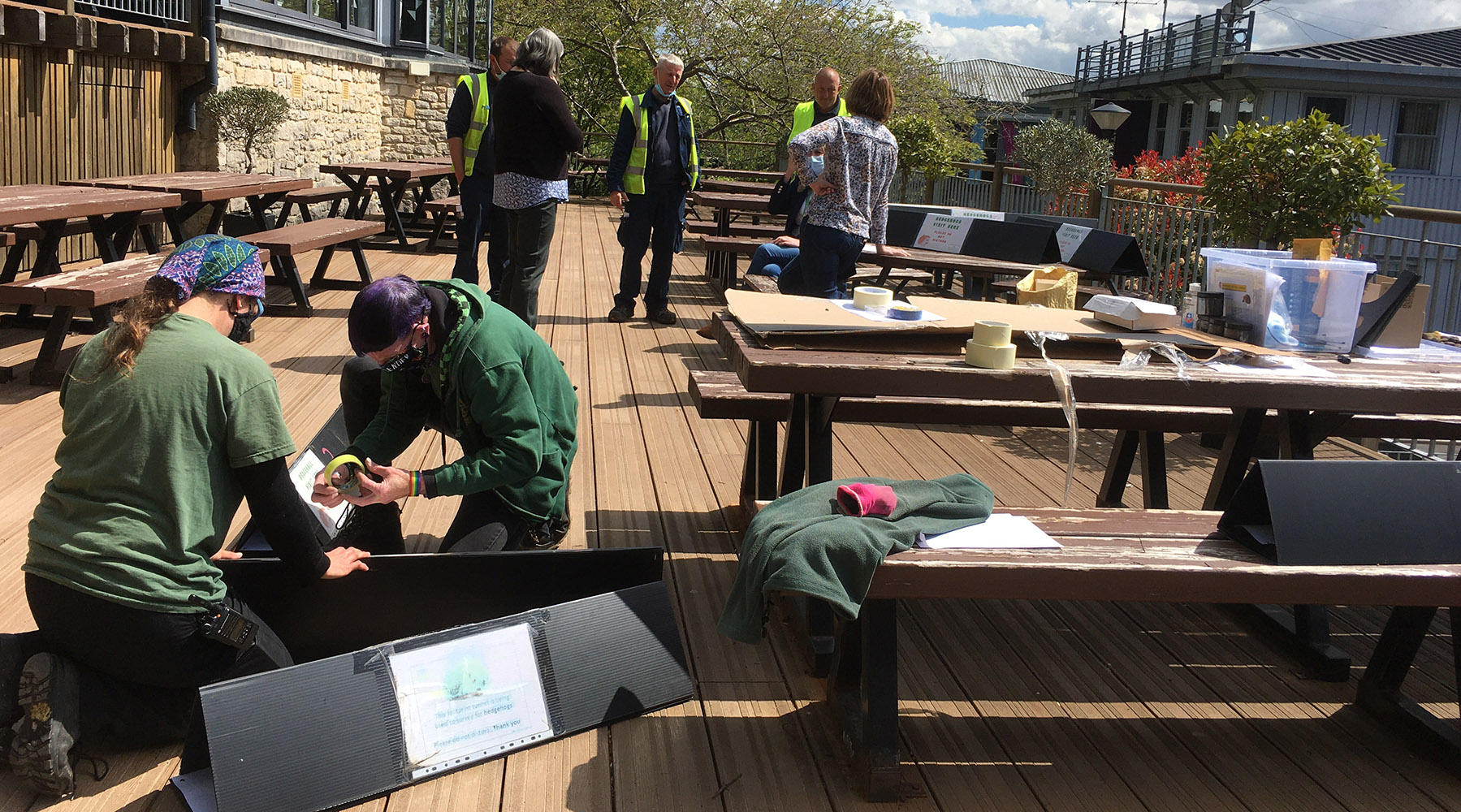 University of Winchester and NHS carrying out hedgehog survey