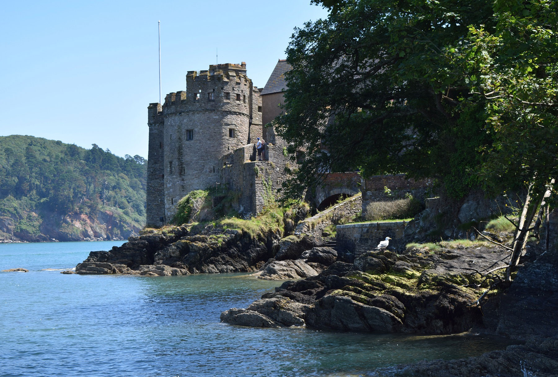 History research: Southern History Society image of Dartmouth Castle