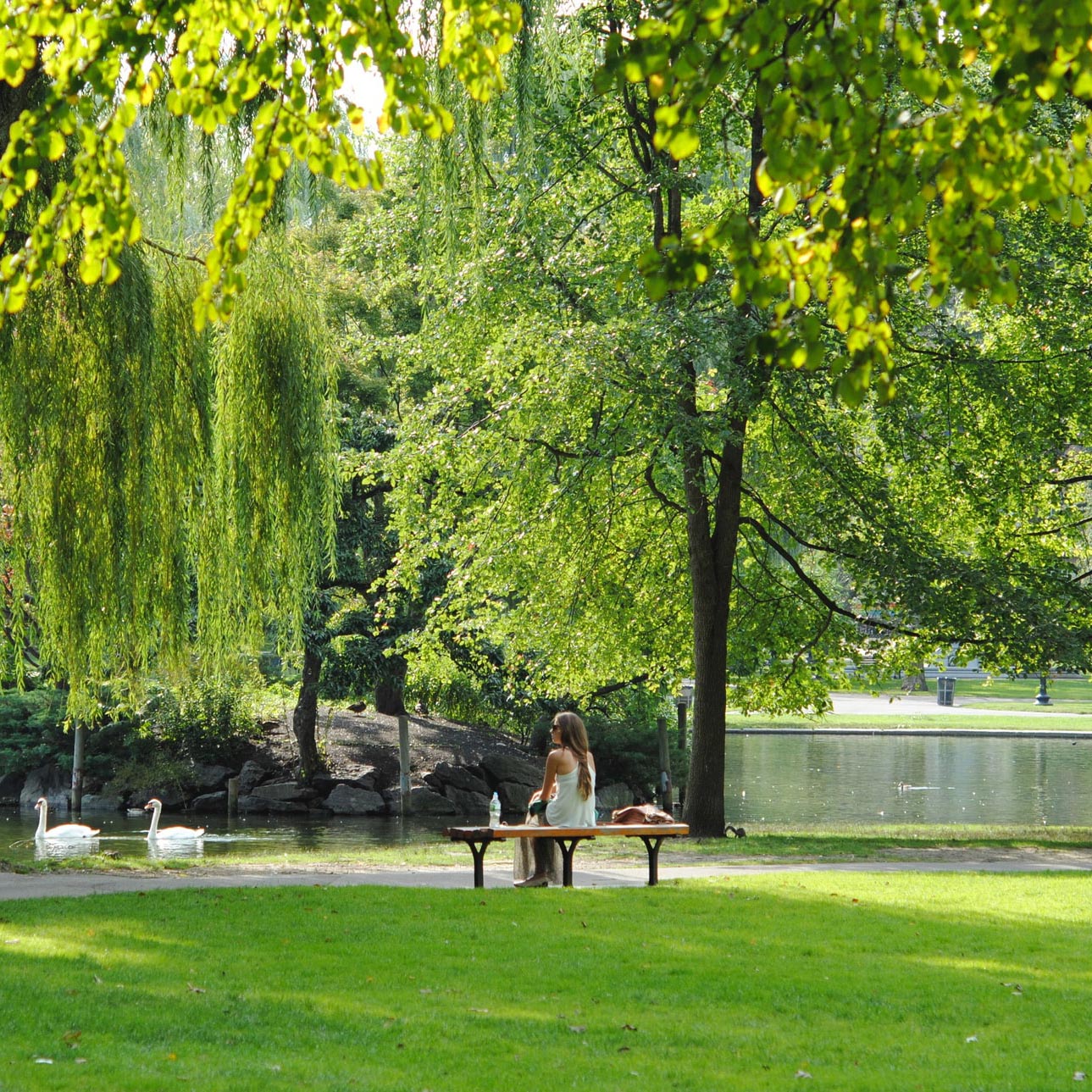 Woman sitting on a bench in a park in summer