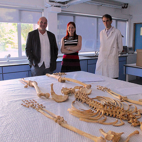 Three people in a lab looking at human bones on a table