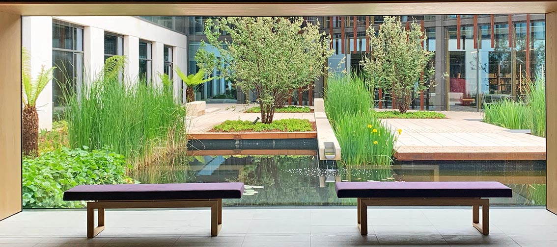 Architect's impression looking out of the building into the courtyard garden with a pond and green trees and planting