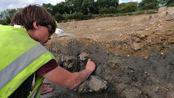 Student archaeologists examines dig trench for bones