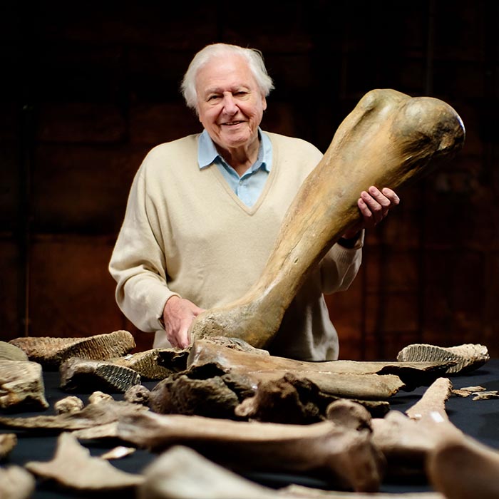 Sir David Attenborough holding a large bone