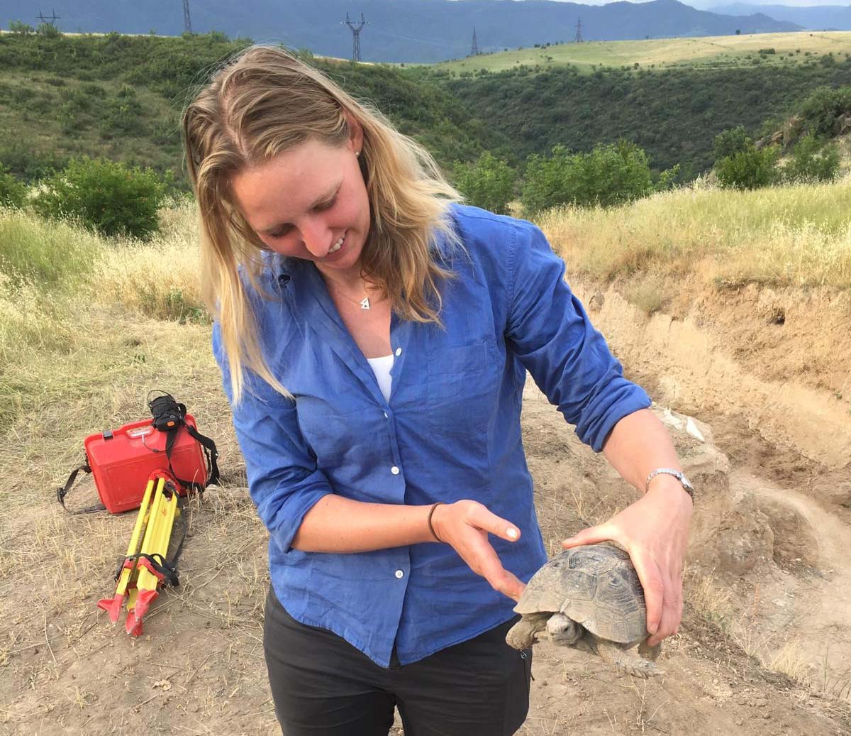 Female archaeologist holding tortoise