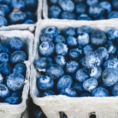 Short courses in plant-based nutrition at the University of Winchester: punnets of blueberries