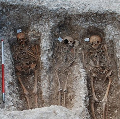 Archaeology research: skeletons of medieval lepers in situ