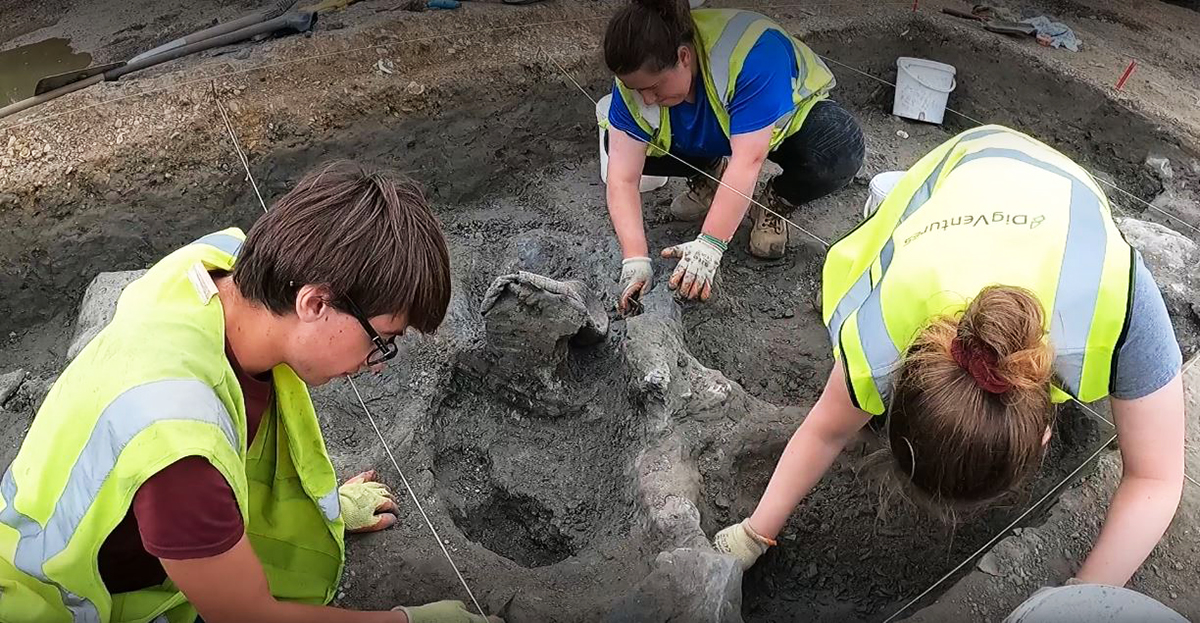 Three University of Winchester Archaeology students excavating a mammoth bone