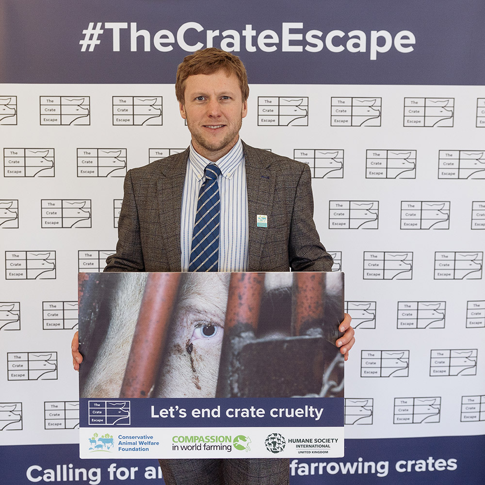 Dr Steve McCulloch at a parliamentary reception 15-3-23 to campaign for a ban on farrowing crates
