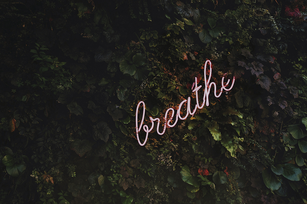 Neon light in shrubbery saying 'Breathe'