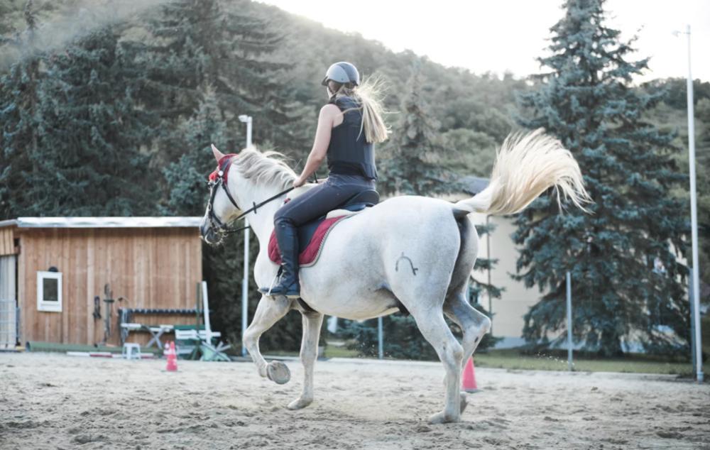 Woman horse riding